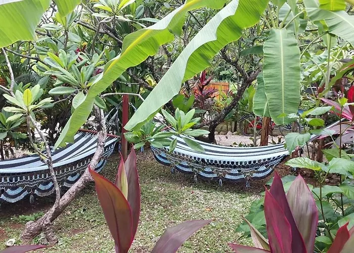 Aloha Surf - Kahala Hui #4