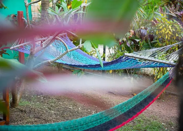 Aloha Surf - Kahala Hui #4 Apartamento