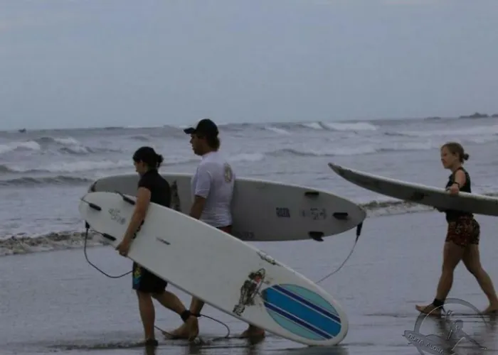 Aloha Surf - Kahala Hui #4 * Nosara