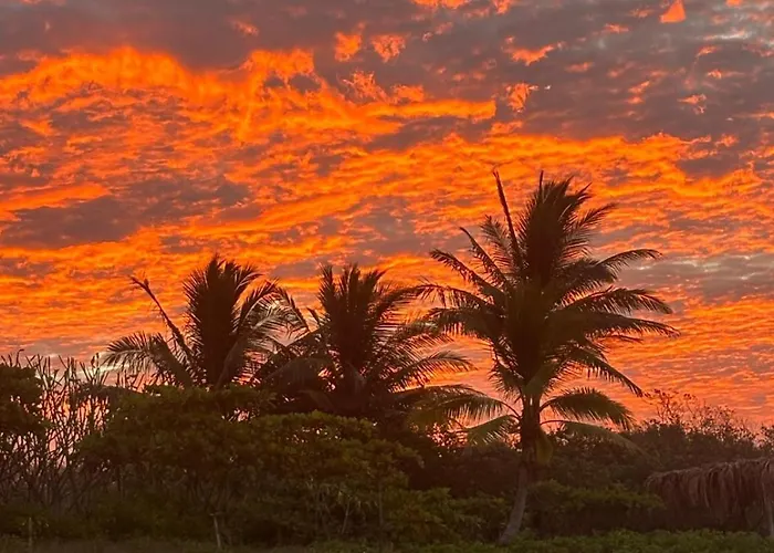 Aloha Surf - Kahala Hui #4 *